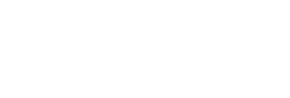 iinsight logo